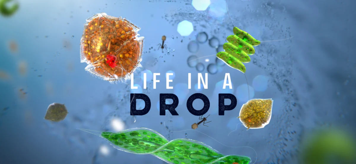 life-in-a-drop-hungarian-scientists-unveil-microscopic-world-through-blender-animation